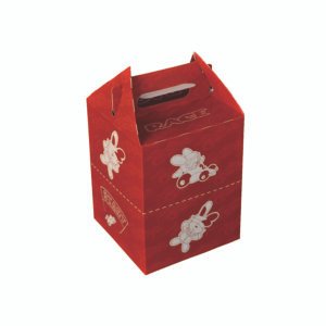 Takeaway Box Packaging